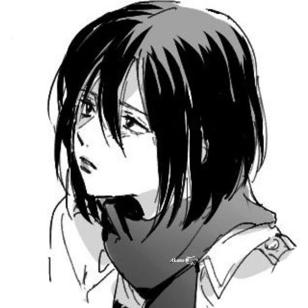 미카사