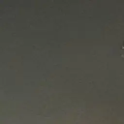 ChunkyElk8205의 人見知り