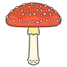 Profile image of トントン