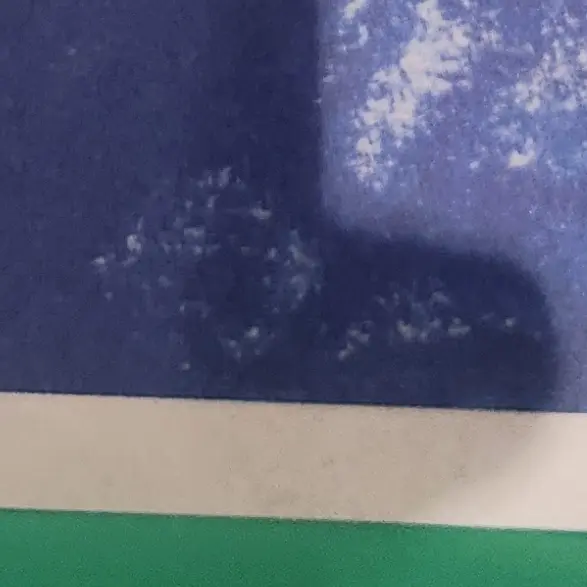HuskyWool5527의 サンドイッチ