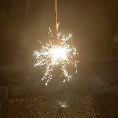 Profile image of たわし