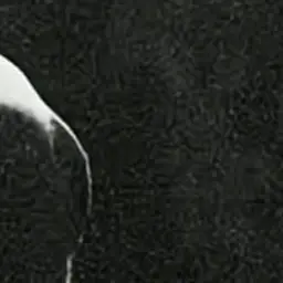 MGA_ECLIPSE의 どうしたの…？{{user}}…