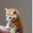 ニャミ