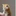 ニャミ