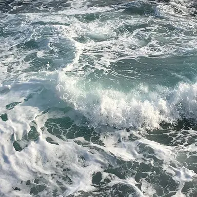 Profile image of 황수현