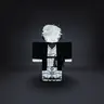 Profile image of テスク