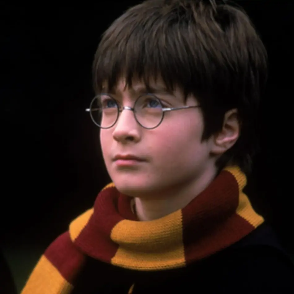 RedDam8600의 Harry Potter