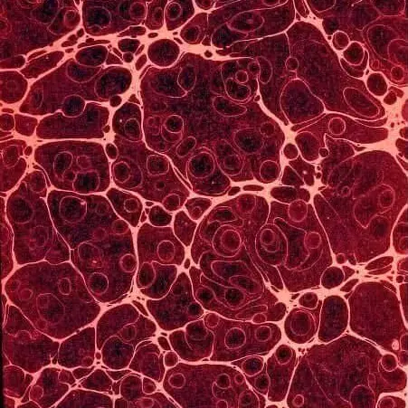 Incendiary의 ⚛︎