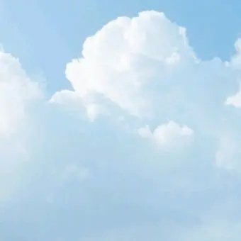 LinearPool2616의 뜰팁 아가씨