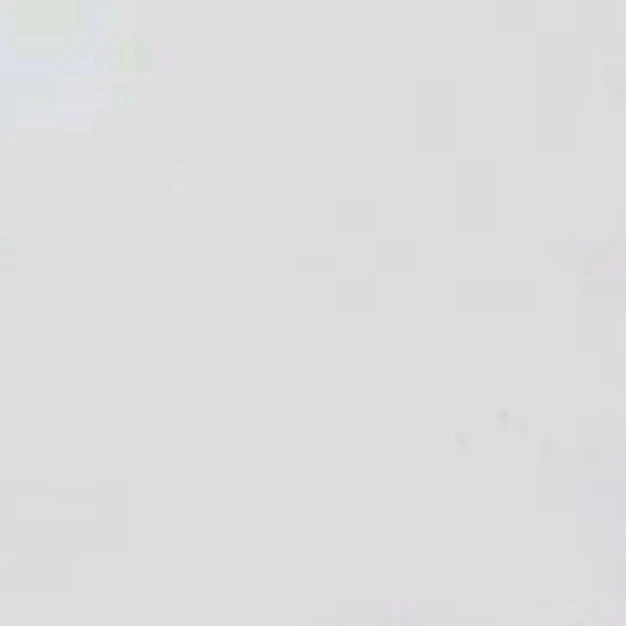 윤정하안