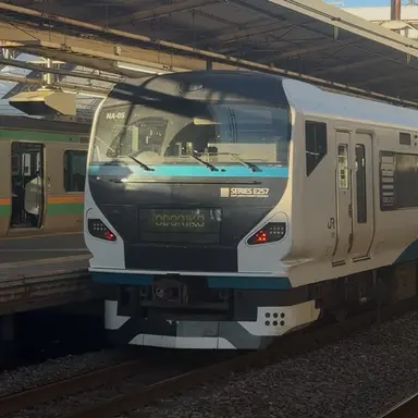 Profile image of 踊り子