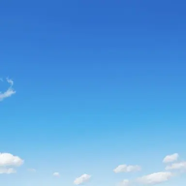 Profile image of 母