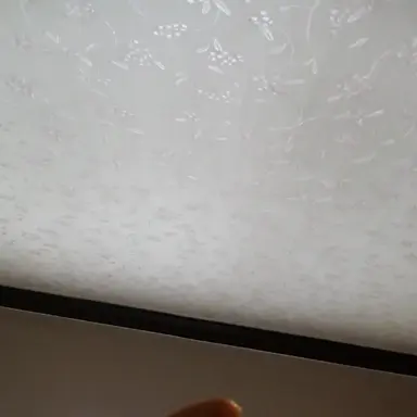 Profile image of 과거