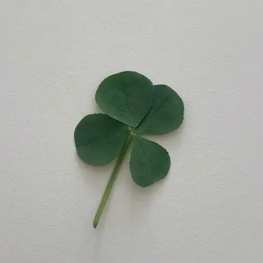 Profile image of 김민준