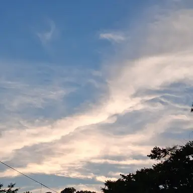 Profile image of 공룡