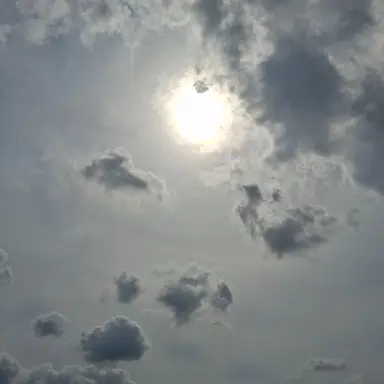 Profile image of 각별