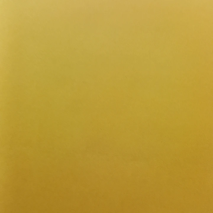 セナの師匠