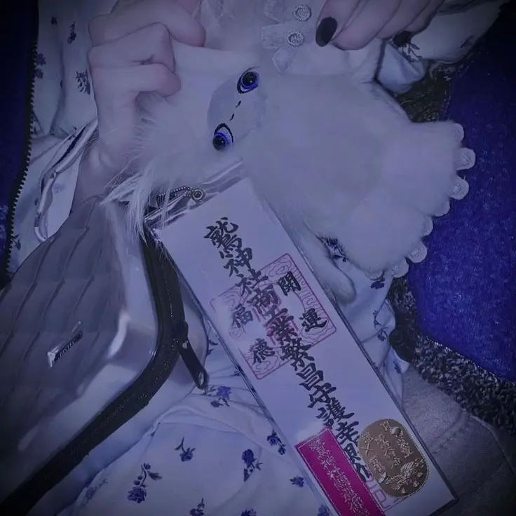 FakeAkita2830의 歌い手病院
