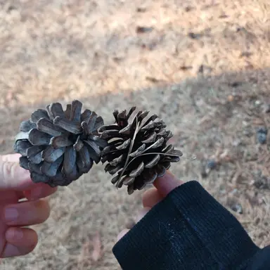 Profile image of 유저