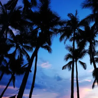 26year의 고고프렌즈+견학+여우