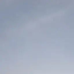 Profile image of 김윤모