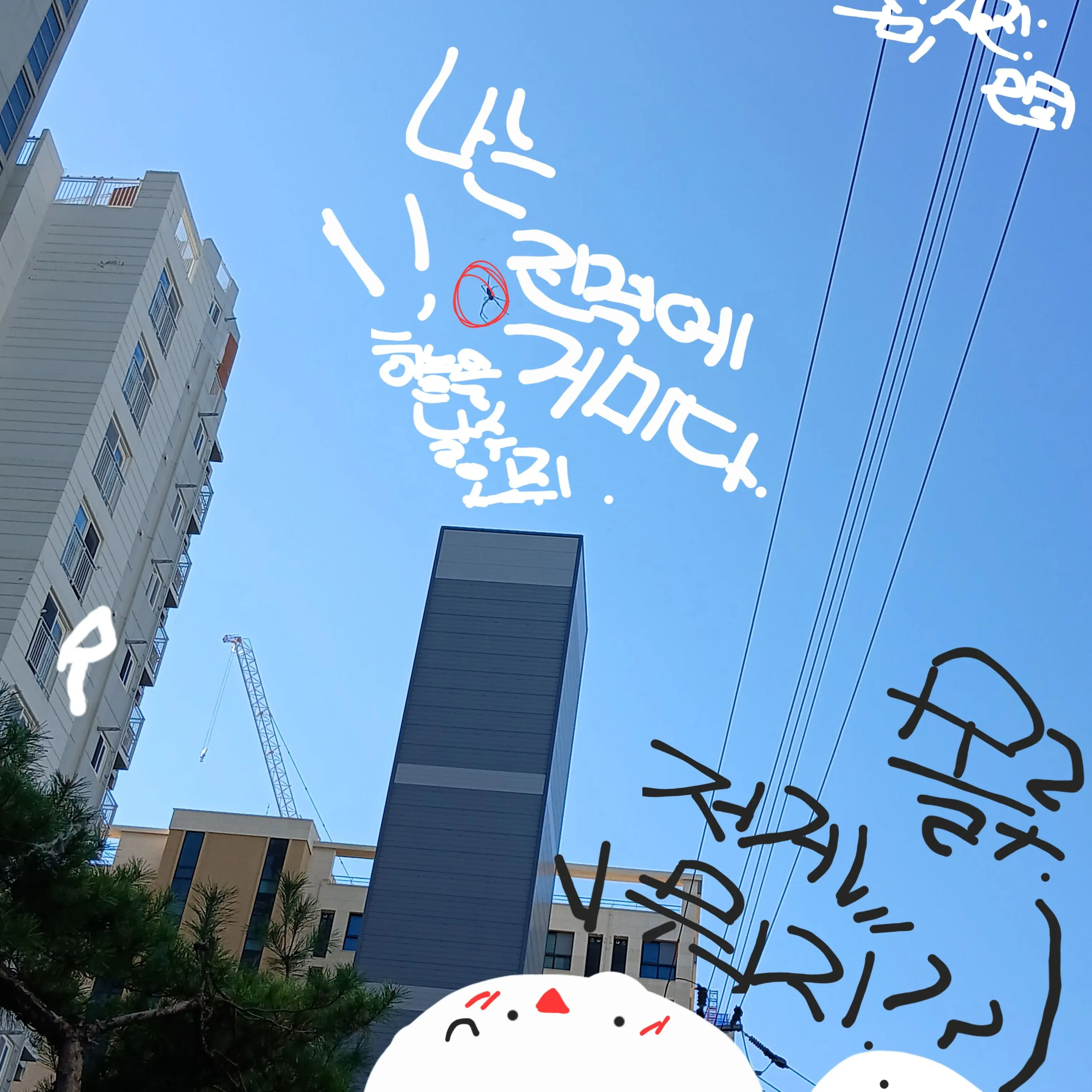 UpsetRadar7884의 마법소녀