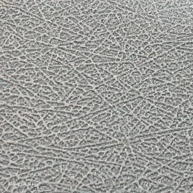 Profile image of 가족들