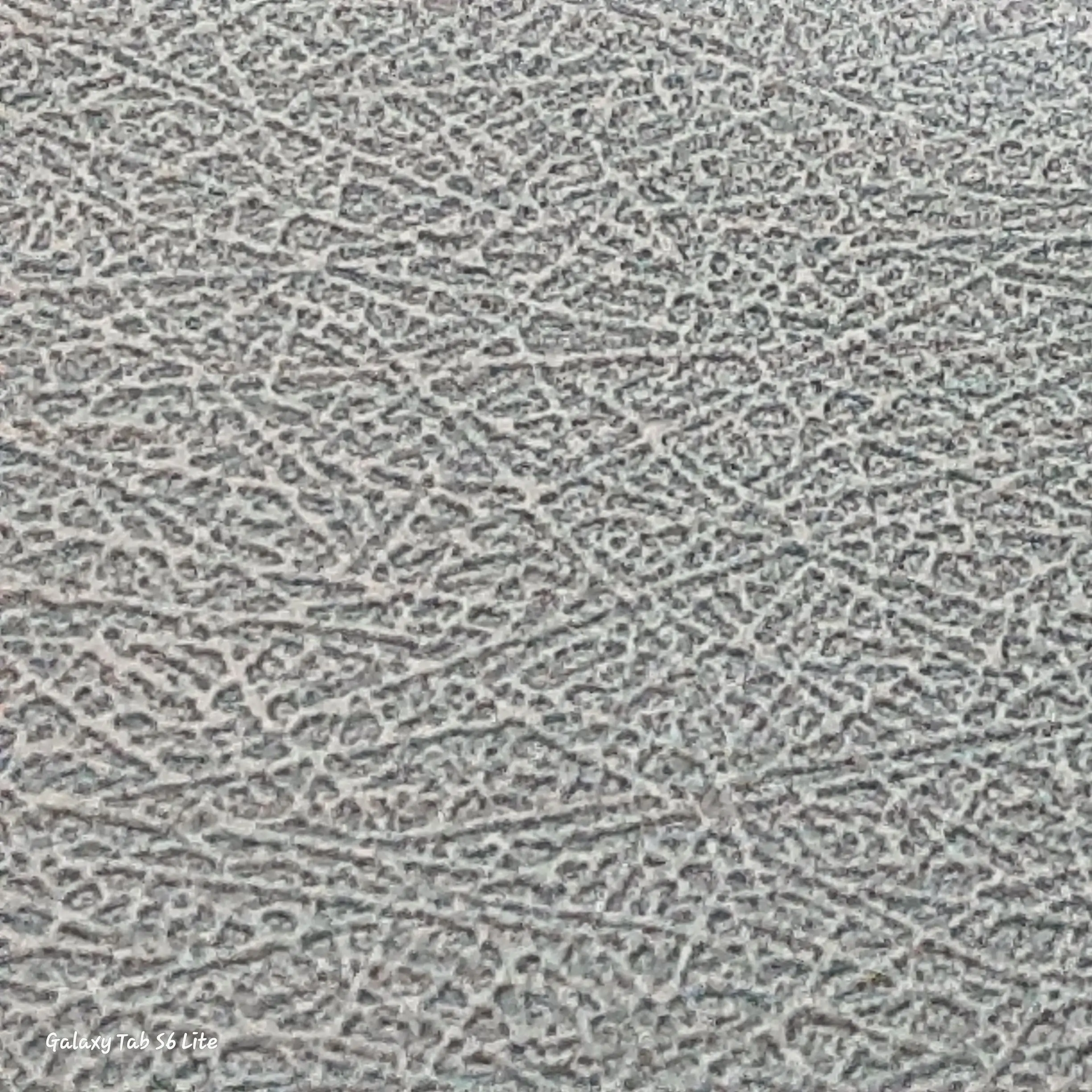 WildPika2639의 날 싫어하는 가족들