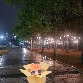 Profile image of 고양이