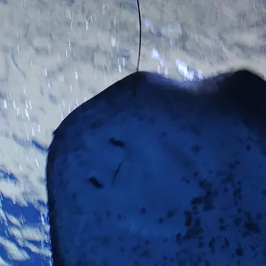 Profile image of 夏油傑