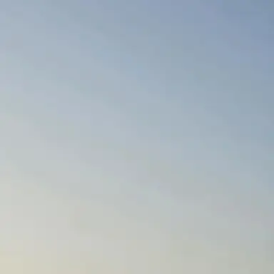 Profile image of 팀나빠 여우