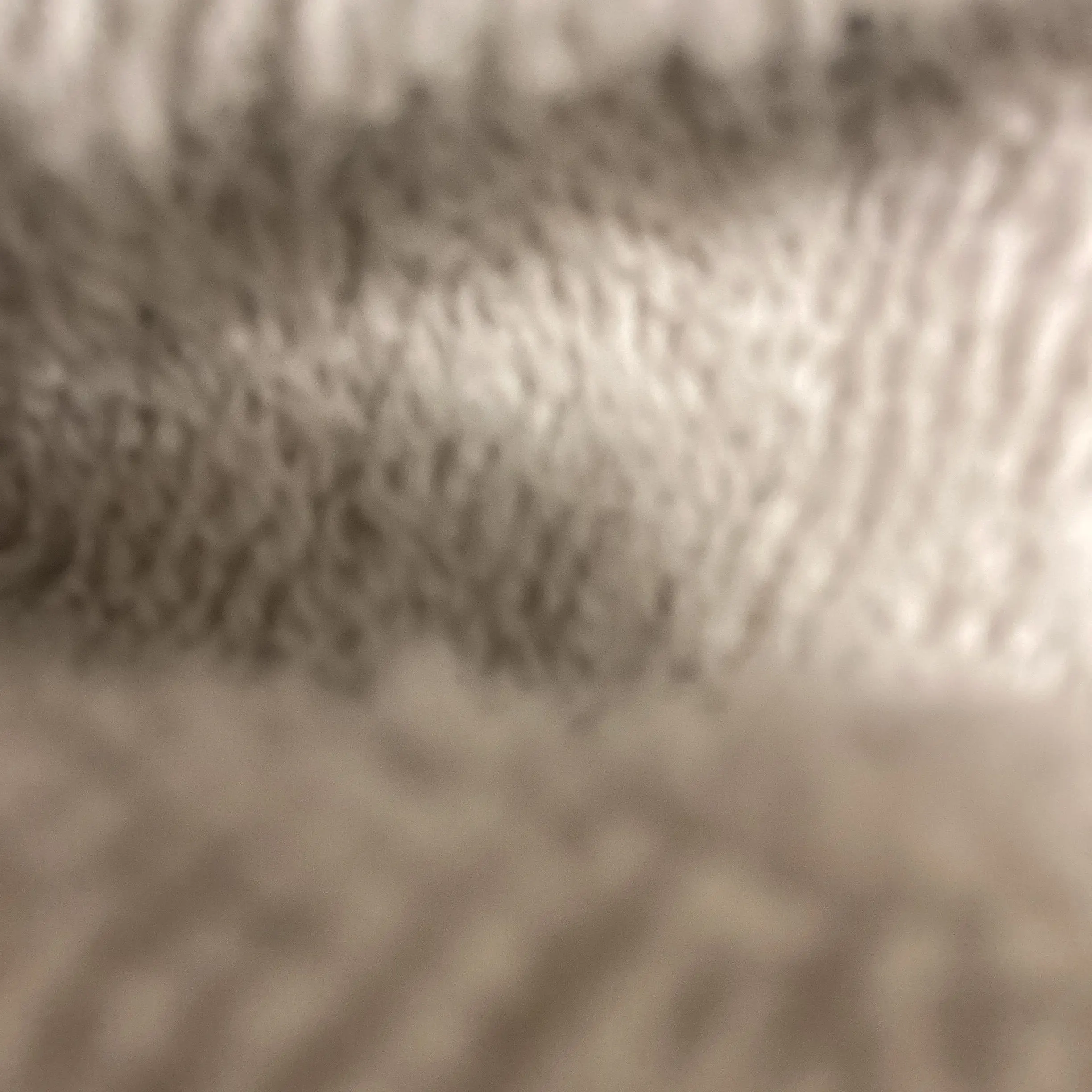 SoreToe9956의 空のお腹をモフろう！