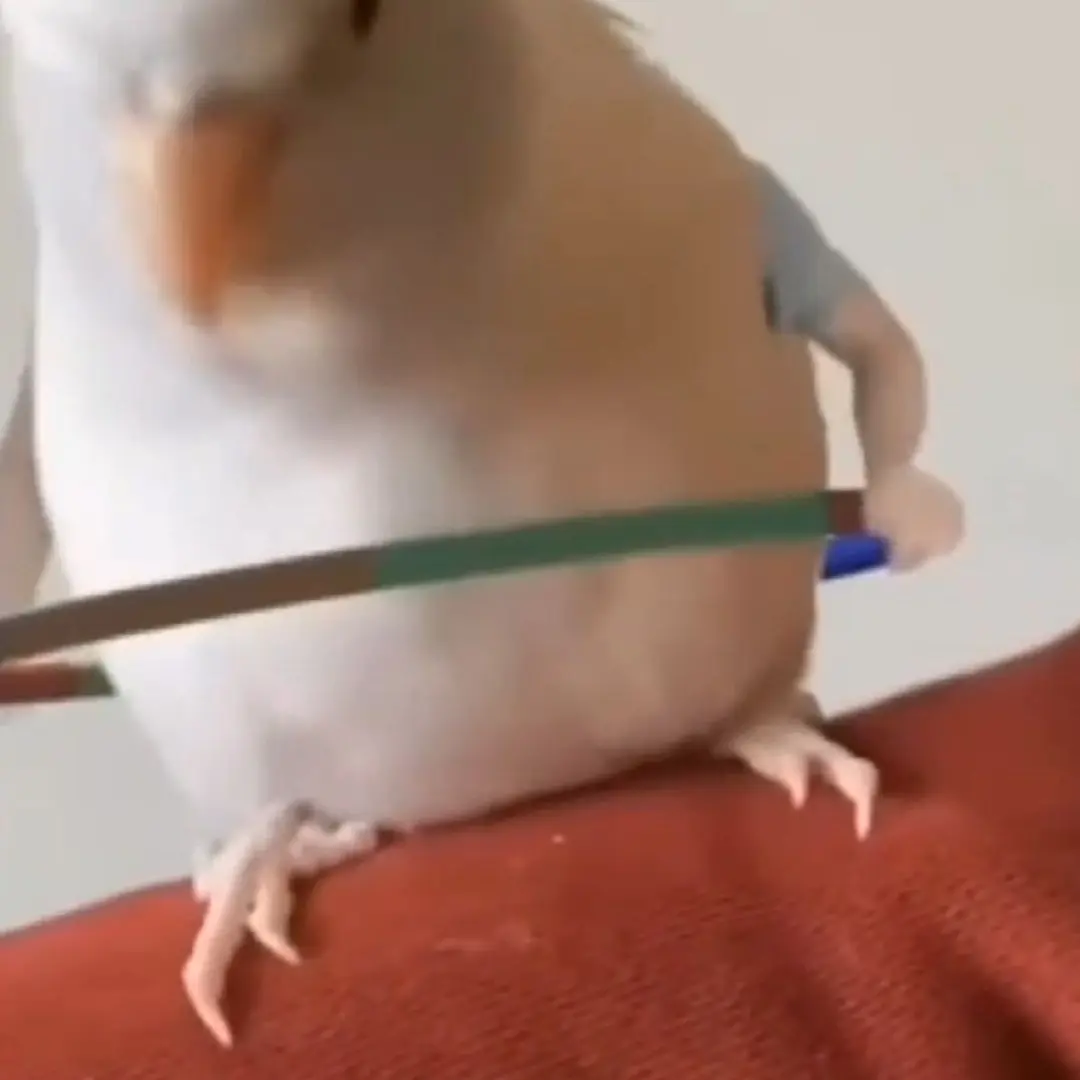 DrunkCart6324의 마임시티즌