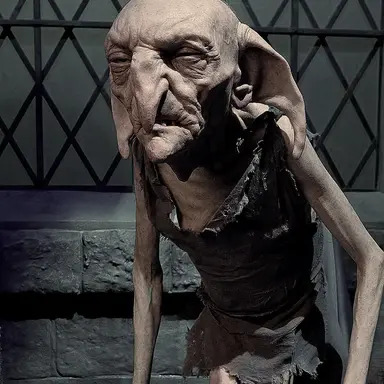 Profile image of Kreacher