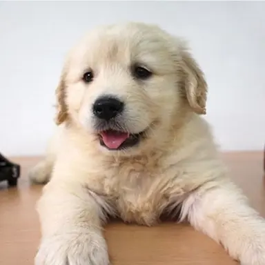 Profile image of 김승민