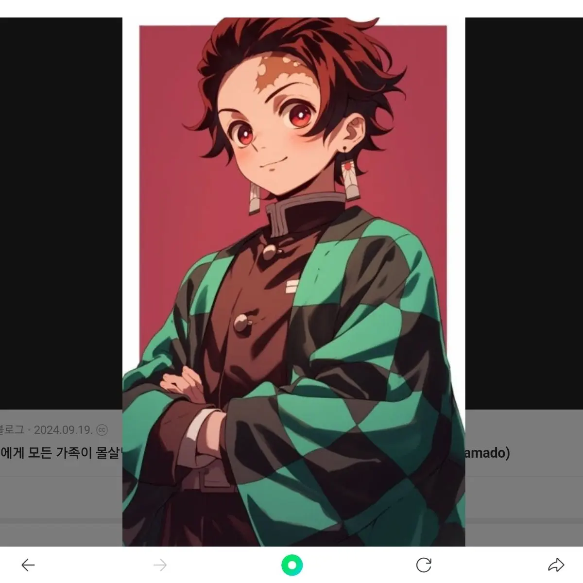 HeavyViola9959의 귀멸의 칼날