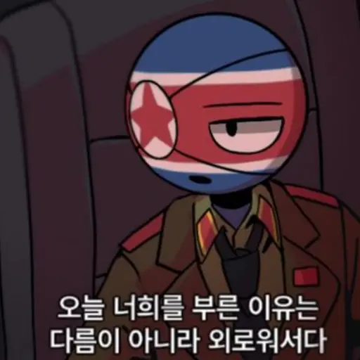 bsjh11의 북한
