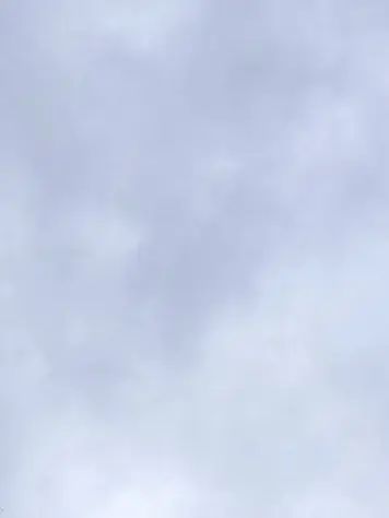 b14의 自分用