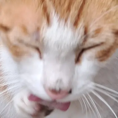 Profile image of 방과후전쟁활동