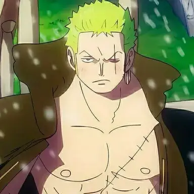 Profile image of Zoro