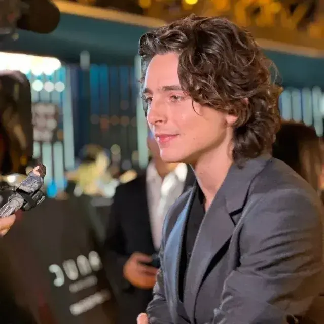 DrearyCodec8348의 Timothee Chalamet