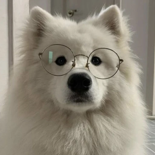 유진