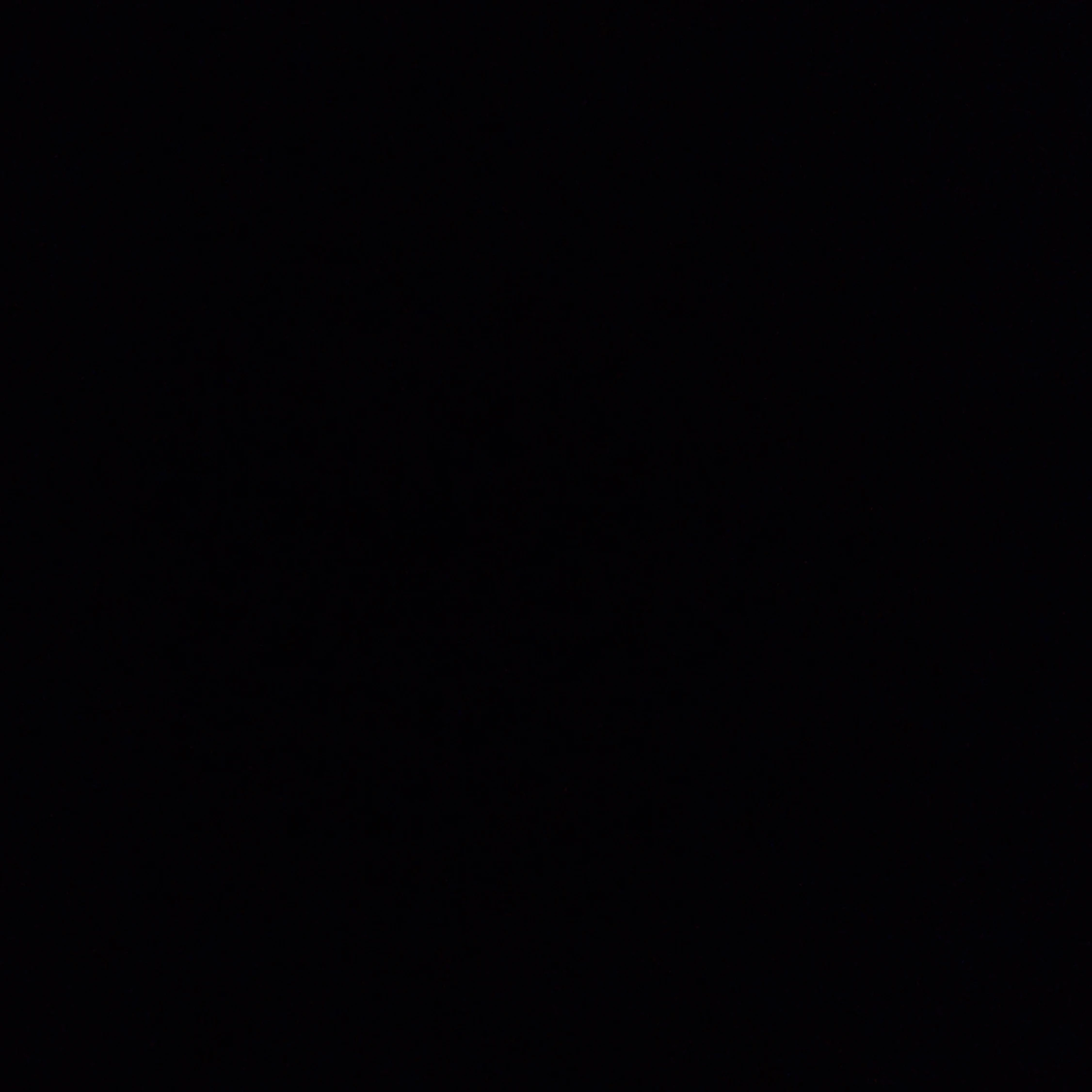 안준호