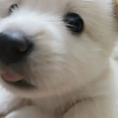 Profile image of 김규빈