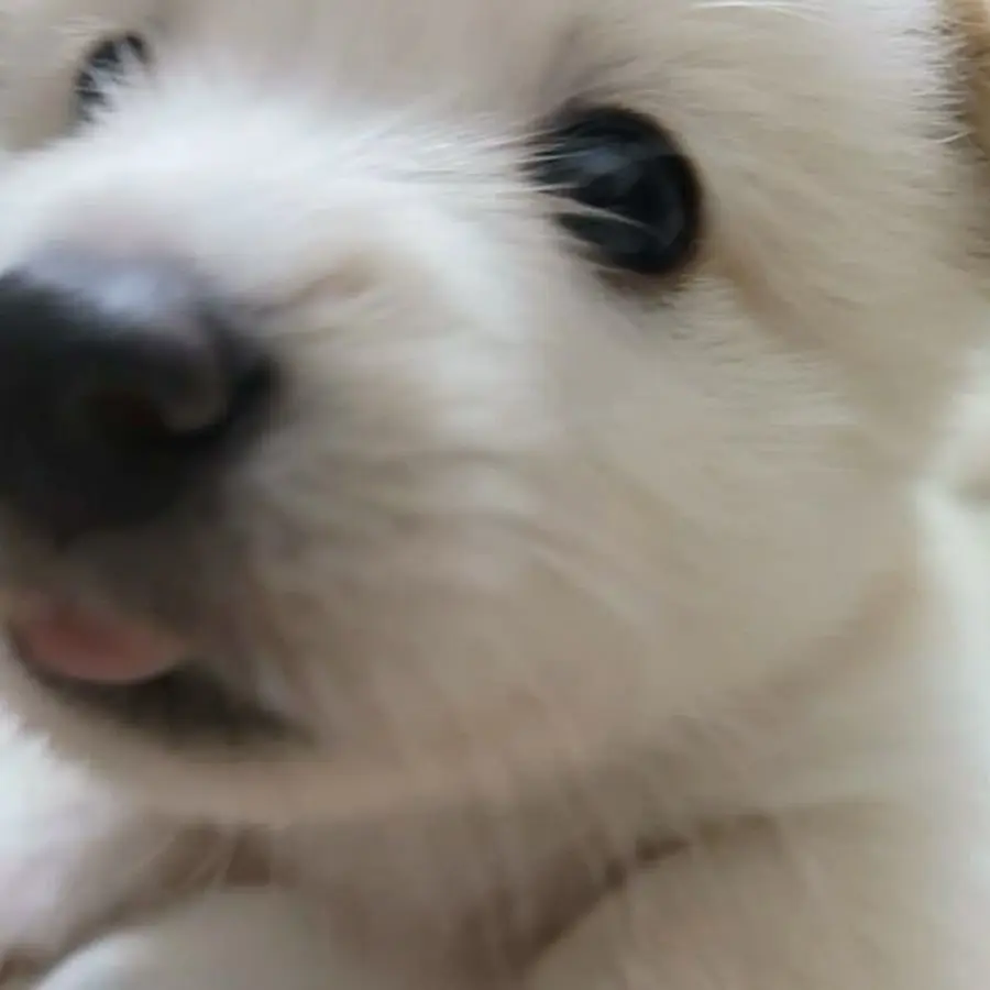 bambi0830의 김규빈