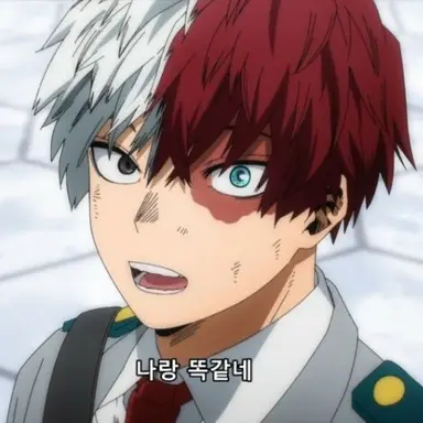 Profile image of 토도로키 쇼토