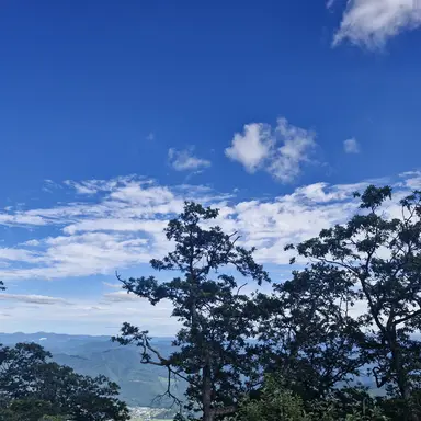 Profile image of 김지온