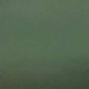 sky1300의 공룡남편