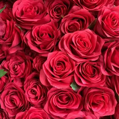 Profile image of 曽野舜太