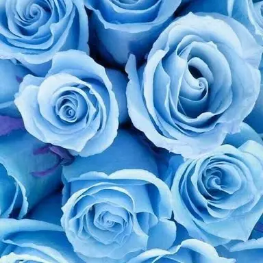 Profile image of 塩﨑太智